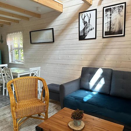Kwiat Paproci Appartement Ryn  Buitenkant foto